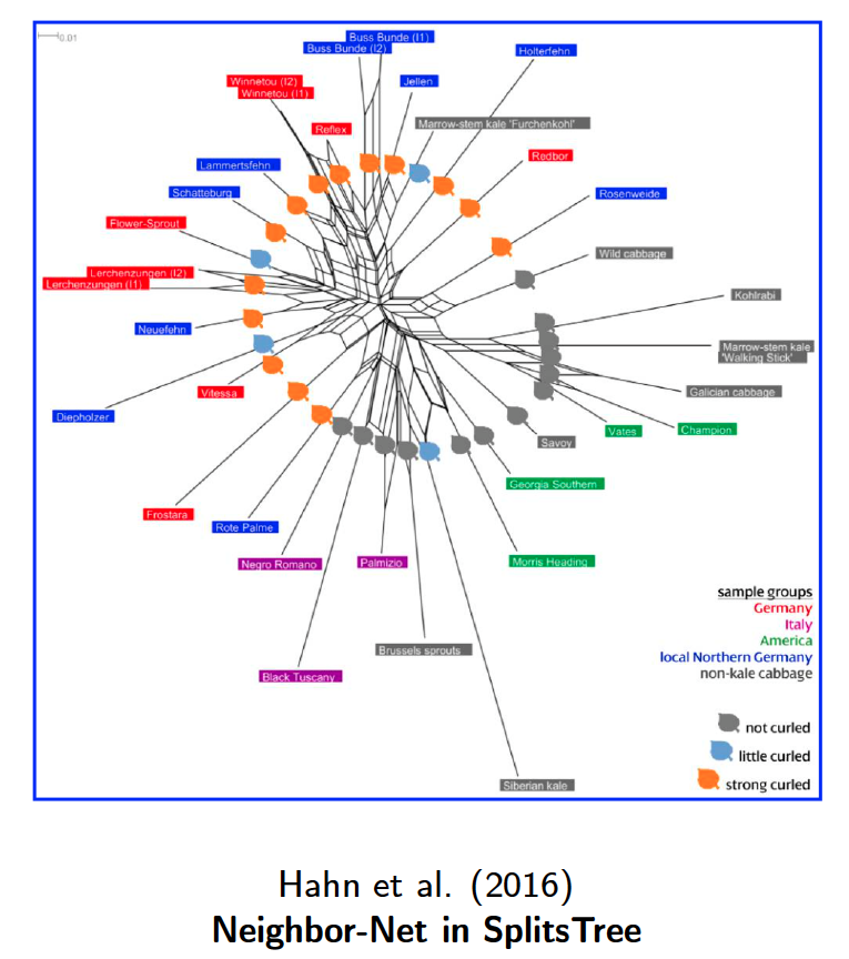 implicit split network